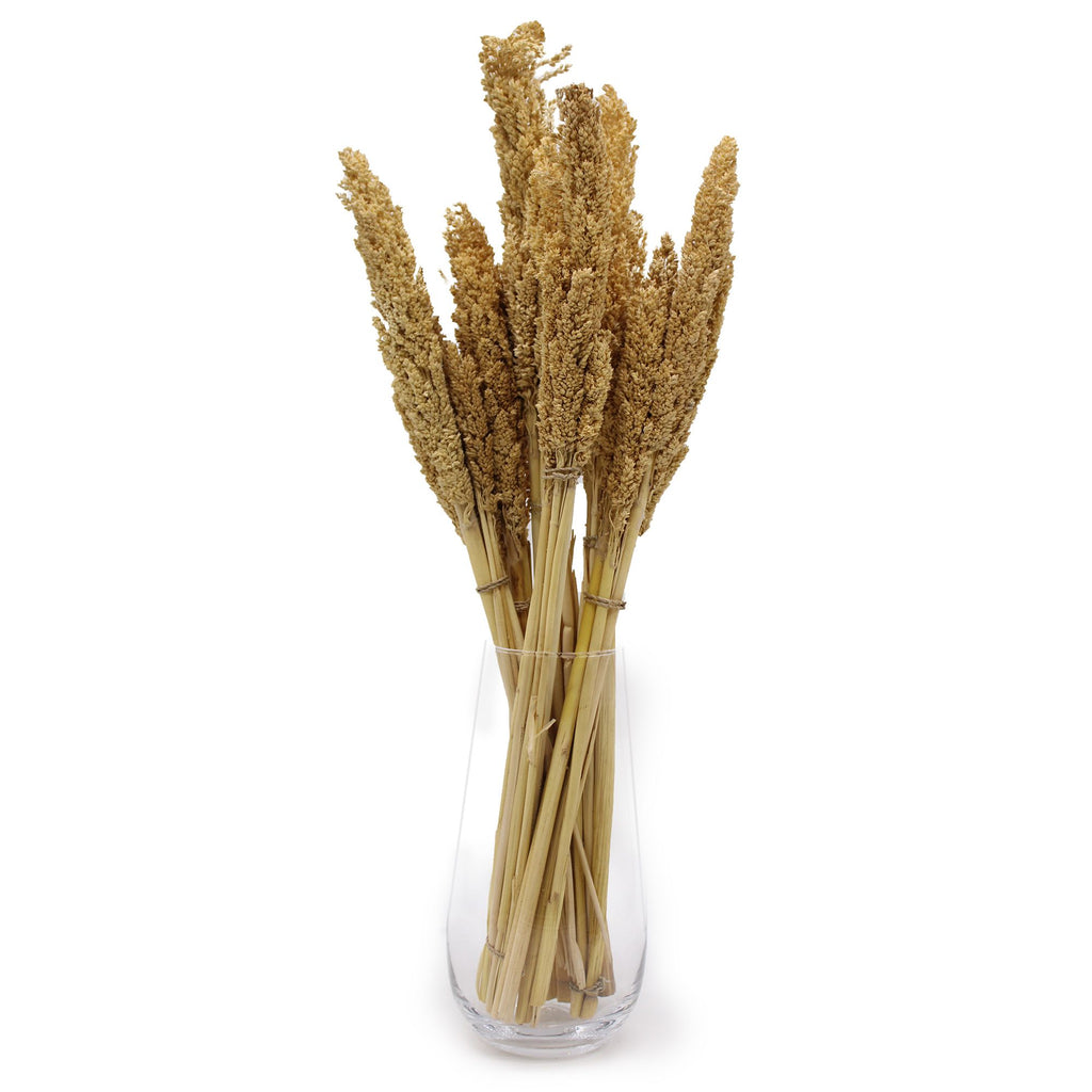 Cantal Grass Bunch - Natural product image 3