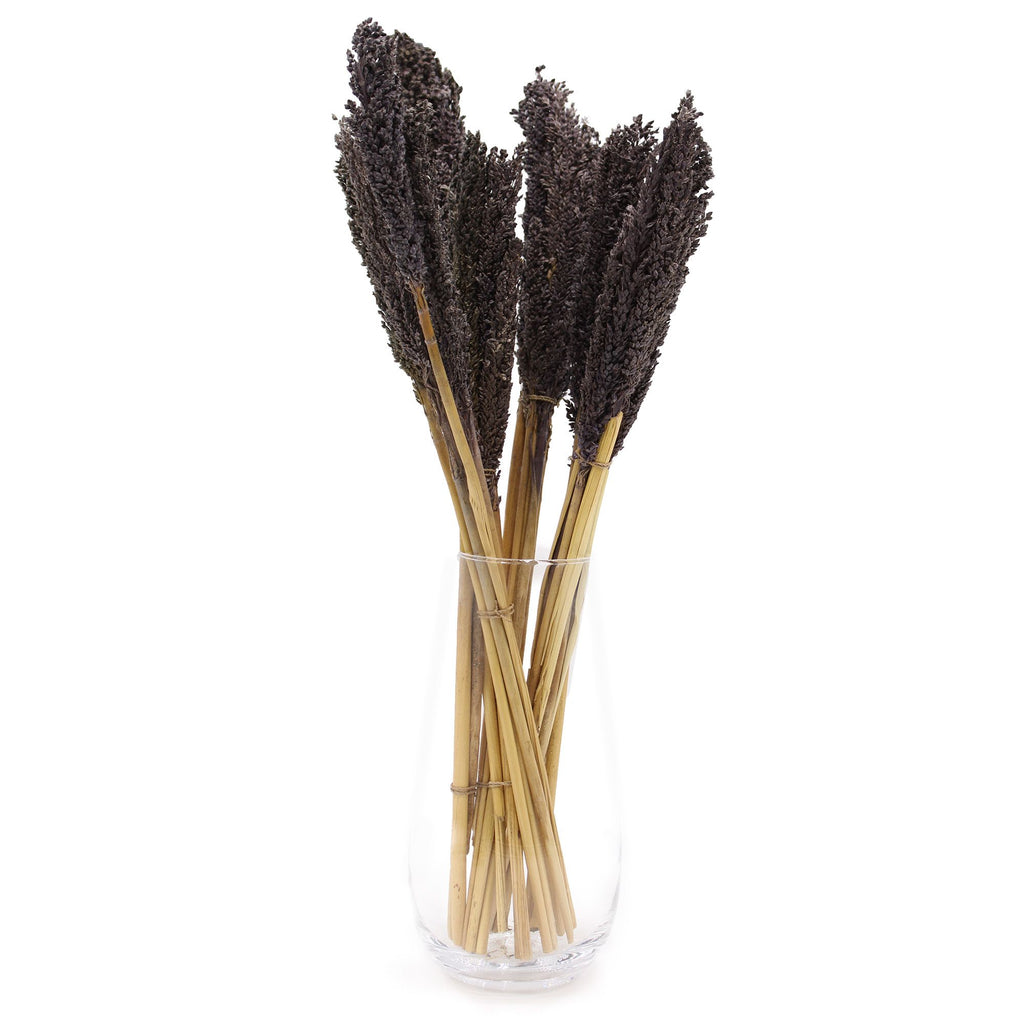 Cantal Grass Bunch - Black product image 2