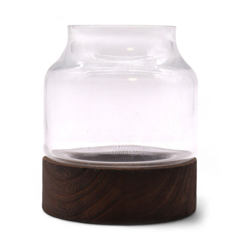 Small Shaped Terrarium on Dark Tung Wood product image