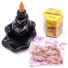 Pack of 10 Masala Backflow Incense - Coconut & Mango product image 7