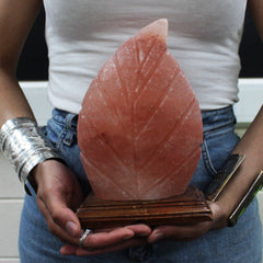 Shape Salt Lamp - Fern product image 4