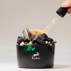 Hop Hare Diffusing Crystals & Floral Set - The King product image 3