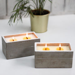 Large Box - Spiced South Sea Lime product image 4