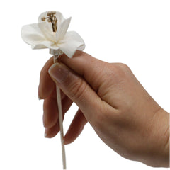 Natural Diffuser Flowers - Lily on Reed product image