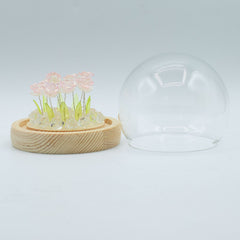 Floral Glow Garden Dome - 10 Pink Roses - LED USB product image 3