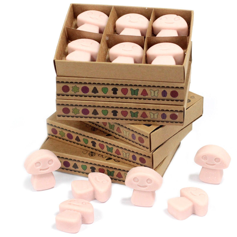 Box of 6 Wax Melts - Old Ginger product image