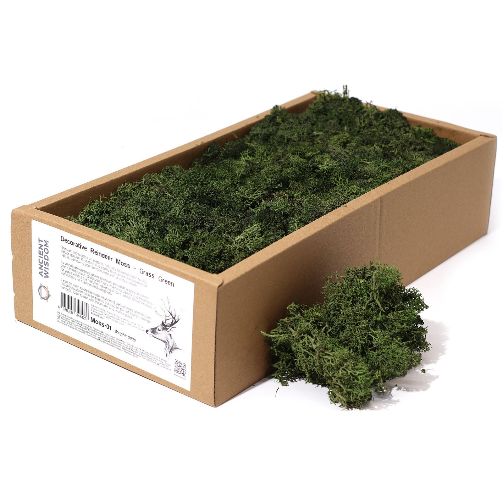 Decoration Reindeer Moss - Grass Green - (approx 500gm) product image