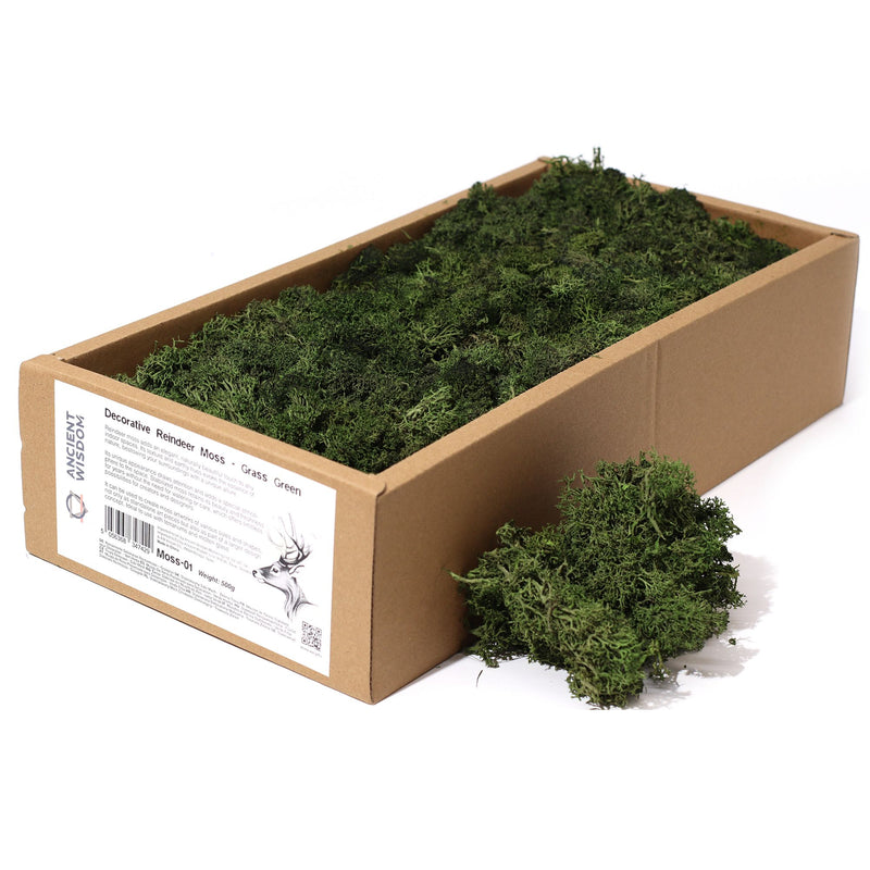 Decoration Reindeer Moss - Grass Green - (approx 500gm) product image