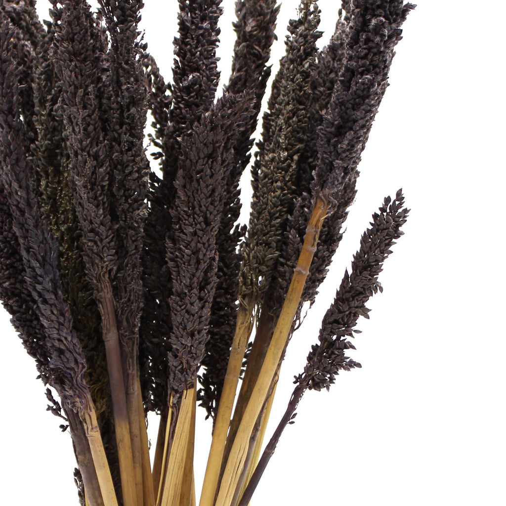 Cantal Grass Bunch - Black product image