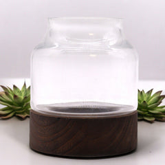 Small Shaped Terrarium on Dark Tung Wood product image 2
