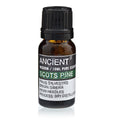 10 ml Pine Sylvestris (Scots Pine) Essential Oil product image