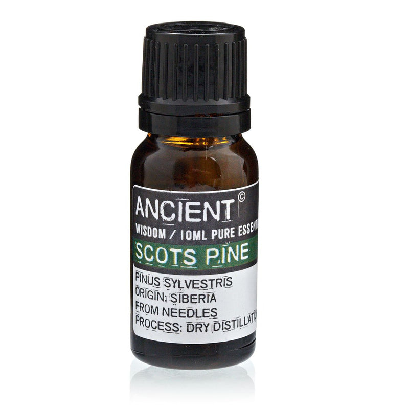 10 ml Pine Sylvestris (Scots Pine) Essential Oil product image