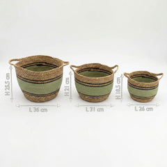 Cotton & Seagrass Large Baskets - Natural Black & Green- Set of 3 product image 7