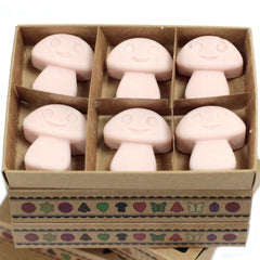 Box of 6 Wax Melts - Old Ginger product image 6