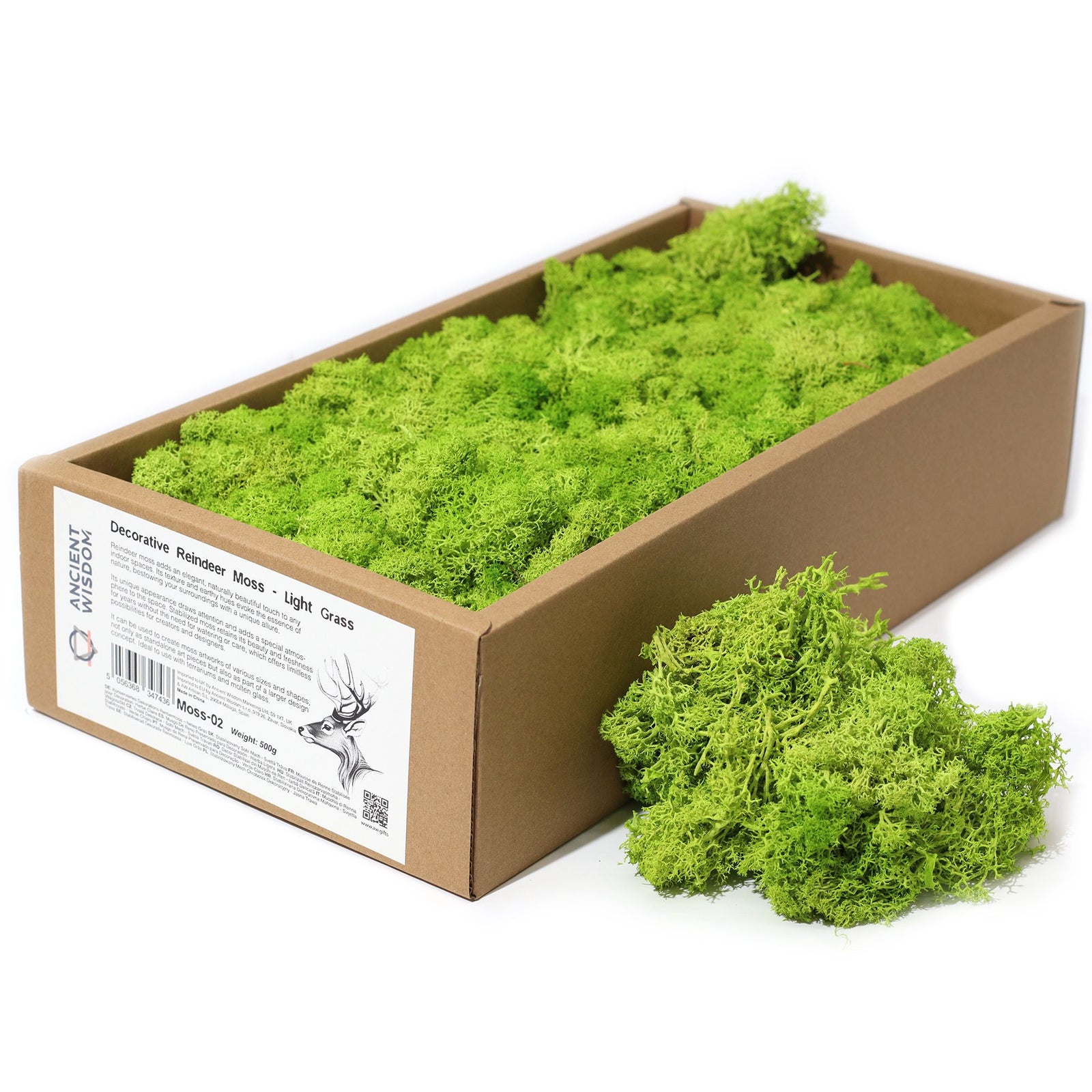 Decoration Reindeer Moss - Light Grass - (approx 500gm) product image