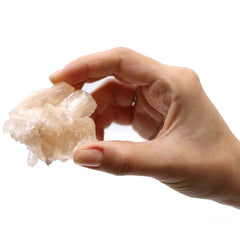 Stilbite Combination with Appophyllite 20-30mm product image 3