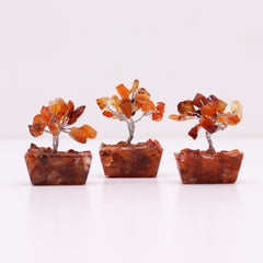 Mini Gemstone Tree On Orgonite Base - Carnelian (15 stones) product image 5