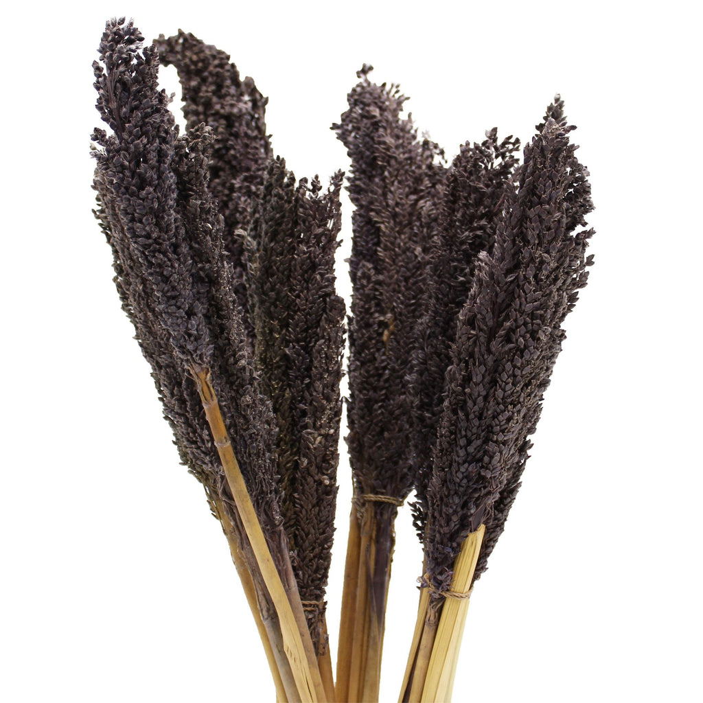 Cantal Grass Bunch - Black product image 6