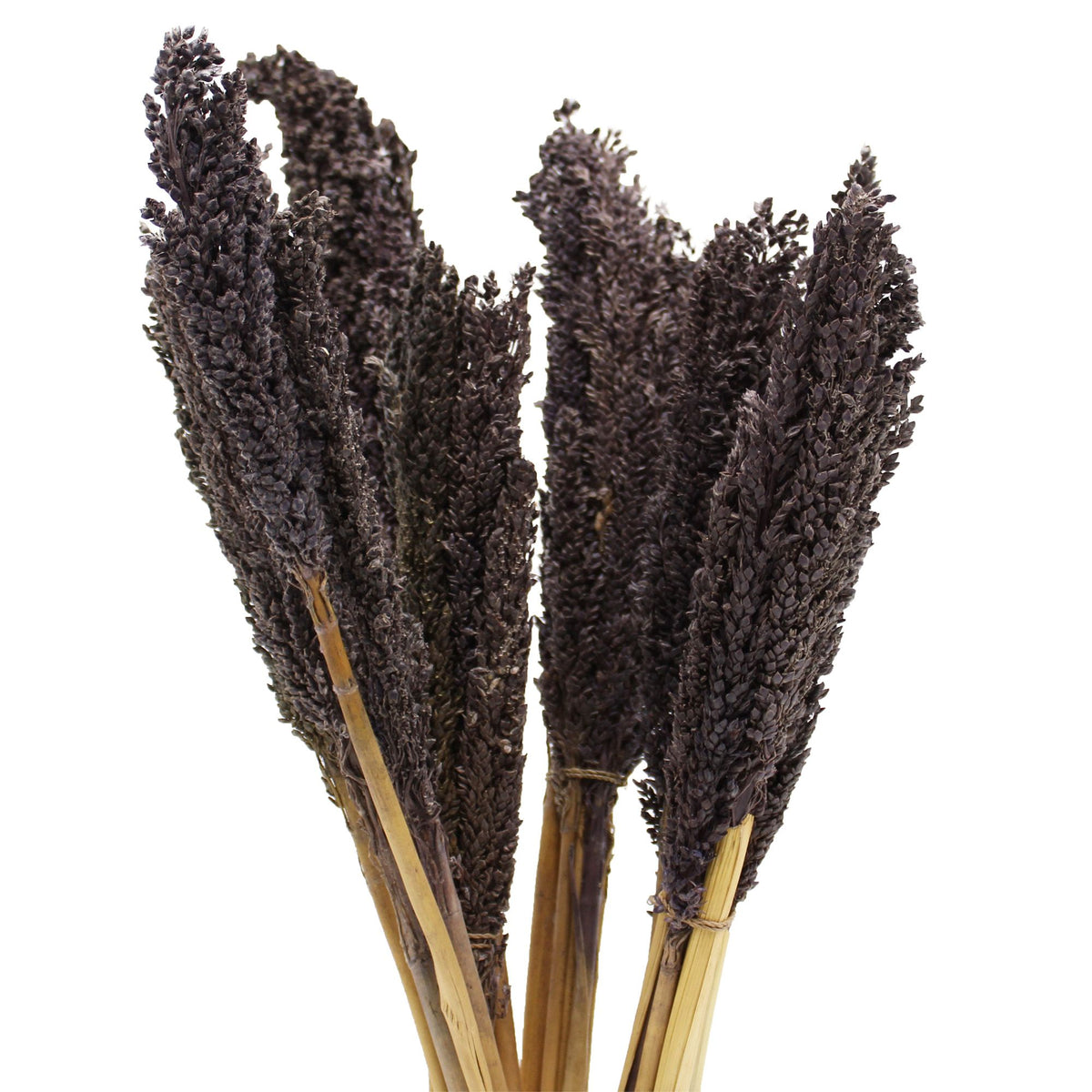 Cantal Grass Bunch - Black product image 6
