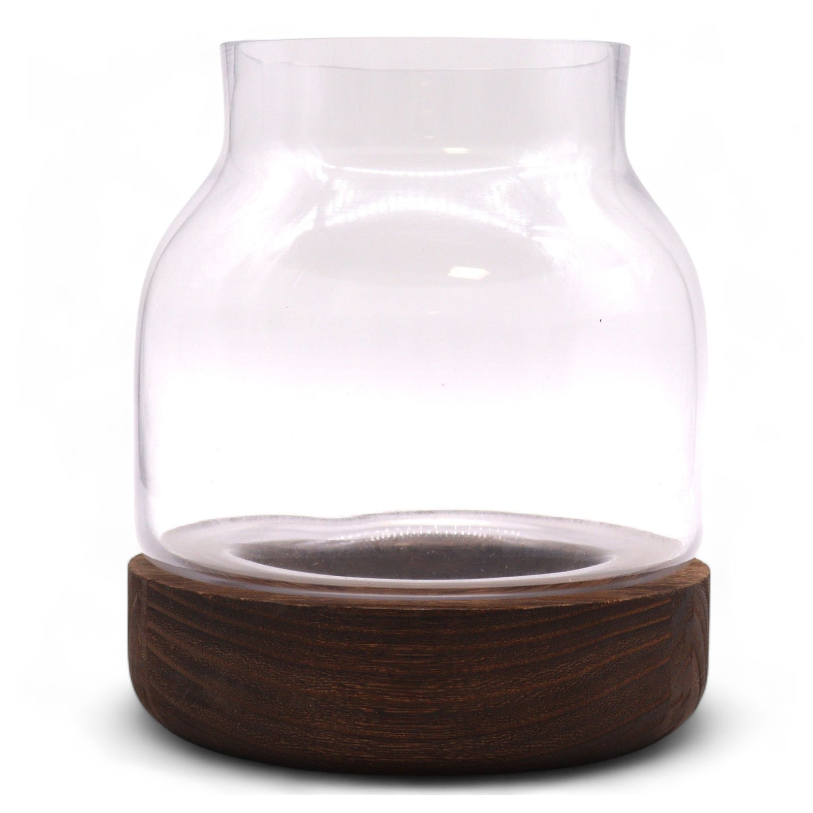 Medium Shaped Terrarium on Dark Tung Wood product image