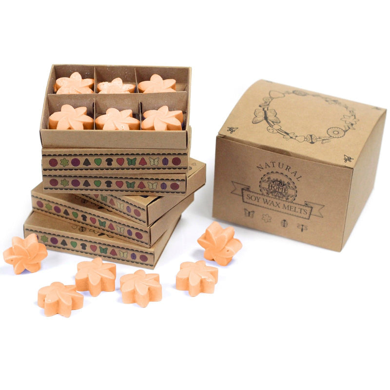 Box of 6 Wax Melts - Mango Fruits product image