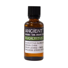 Eucalyptus Organic Essential Oil 50ml product image 2