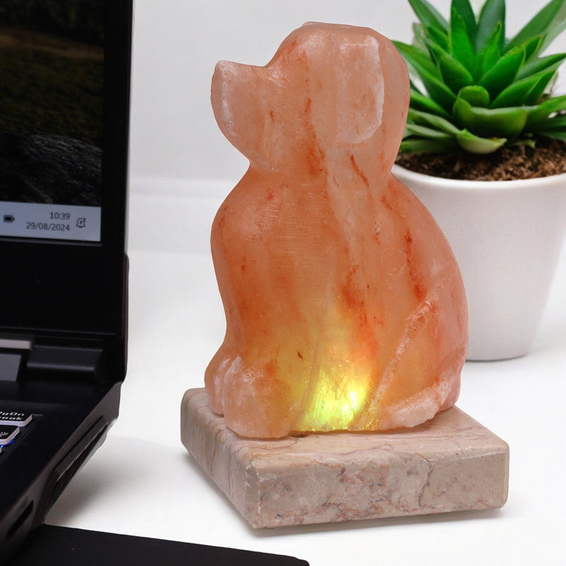USB Dog Shaped (Multi) product image