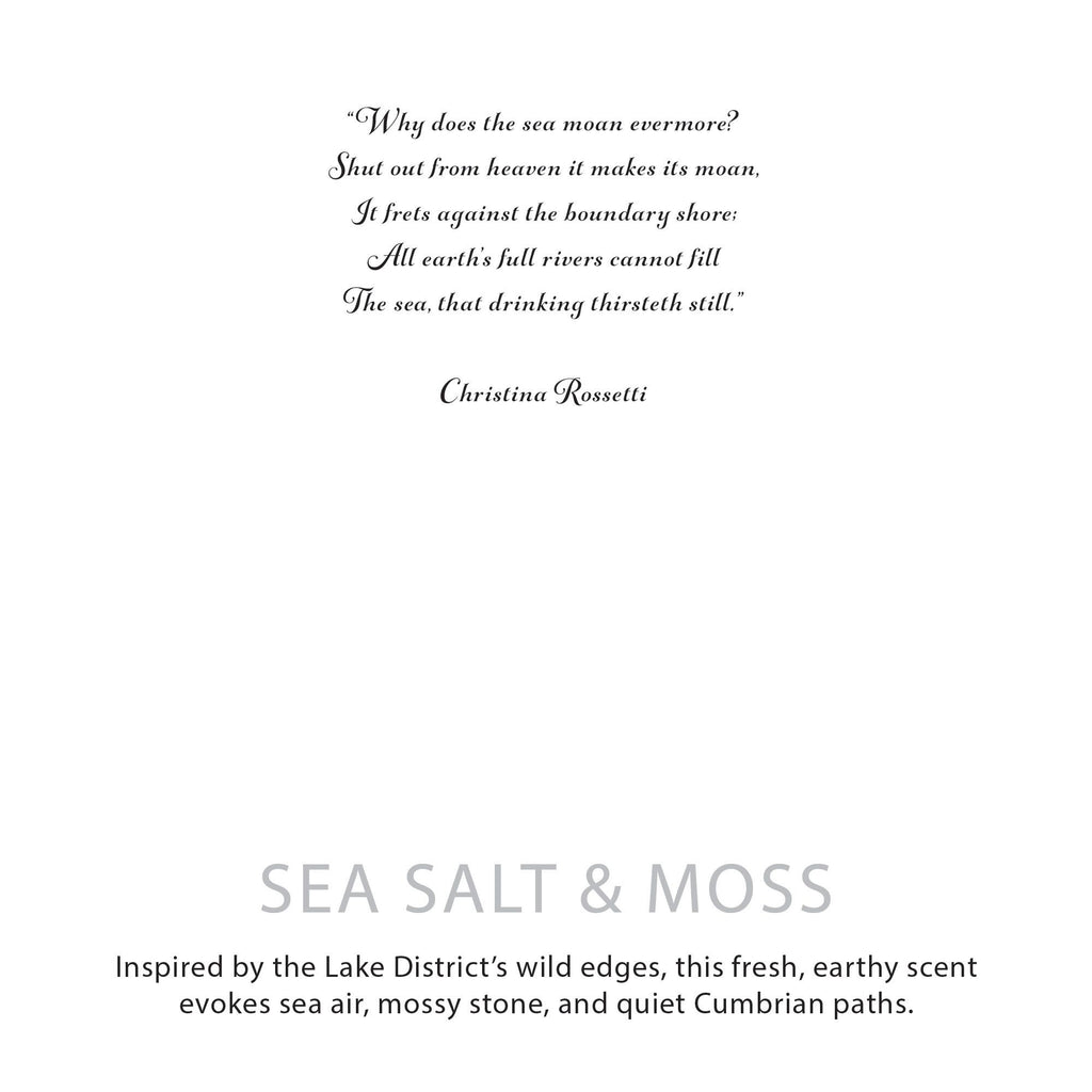 Agnes + Cat Botanical Soy Wax Candle - Seasalt & Moss product image 6