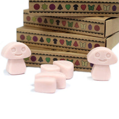 Box of 6 Wax Melts - Old Ginger product image 5