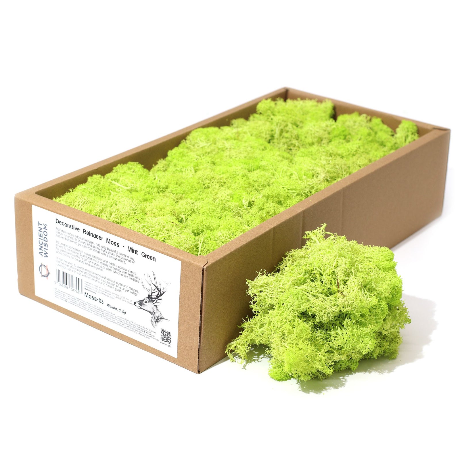 Decoration Reindeer Moss - Mint Green - (approx 500gm) product image