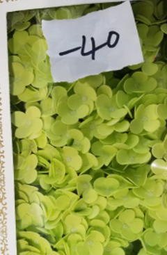 Craft Soap Flowers - Hyacinth Bean - Spring Green product image