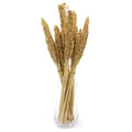 Cantal Grass Bunch - Natural product image