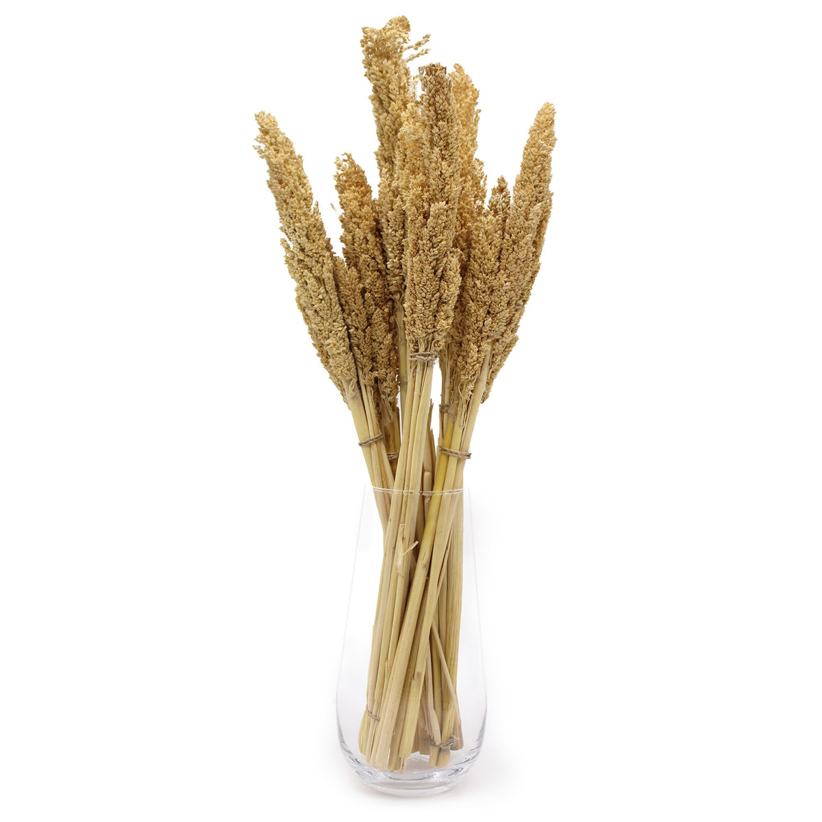 Cantal Grass Bunch - Natural product image