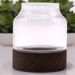 Medium Shaped Terrarium on Dark Tung Wood product image 2