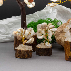 Small Gomati Chakra Circle Stone Tree with Rudraksha - (15 stones) product image 2