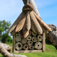 Driftwood Bee & Insect Box product image 4