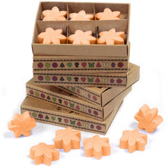 Box of 6 Wax Melts - Mango Fruits product image 6