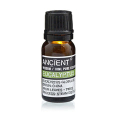 10 ml Eucalyptus Essential Oil product image