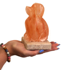 USB Dog Shaped (Multi) product image 3
