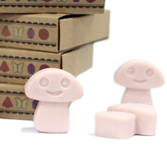 Box of 6 Wax Melts - Old Ginger product image 4