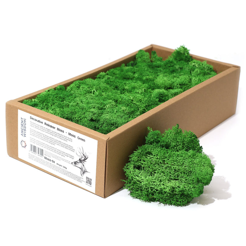 Decoration Reindeer Moss - Moss Green - (approx 500gm) product image