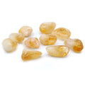 L Tumble Stones - Citrine - Brazil product image