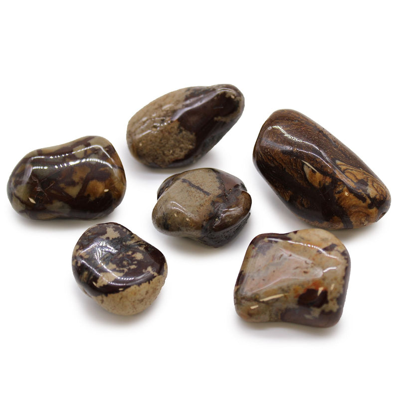 Large African Tumble Stones - Jasper Nguni product image