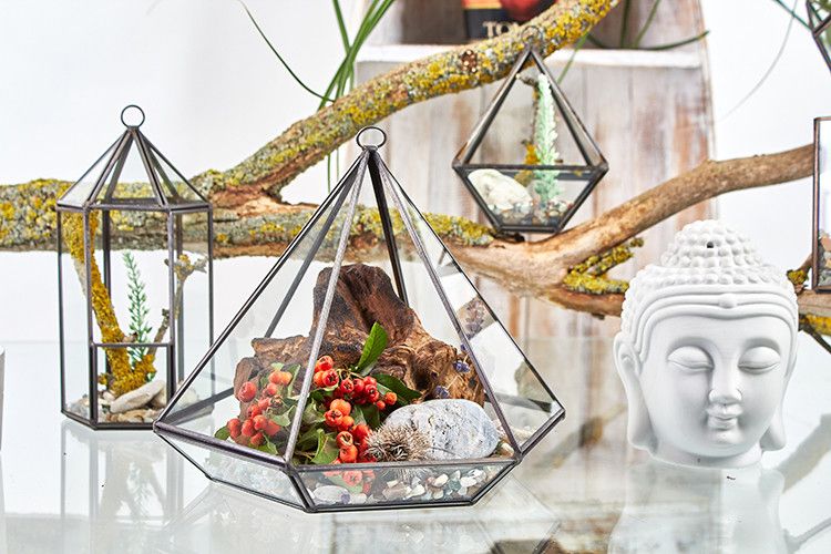 Glass Terrarium - Small Diamond product image