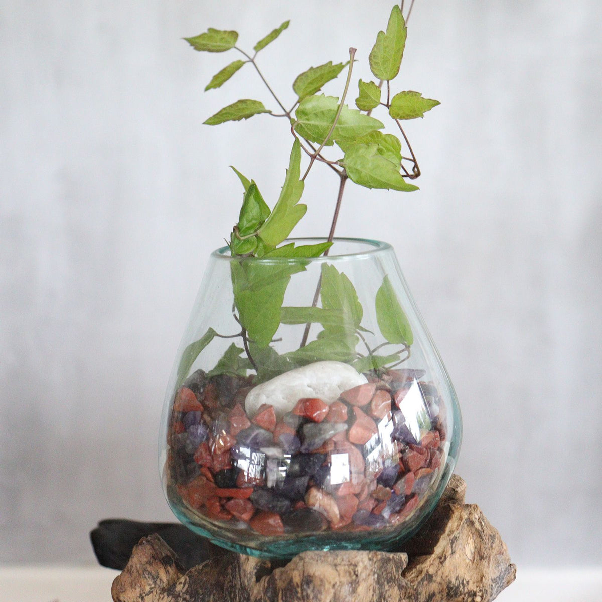 Molten Glass on Wood with Stand - Large Bowl product image