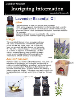 Patchouli Essential Oil Info product image 2