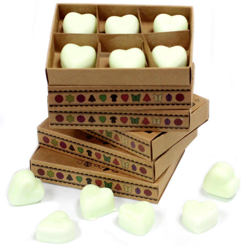 Box of 6 Wax Melts - Apple Spice product image