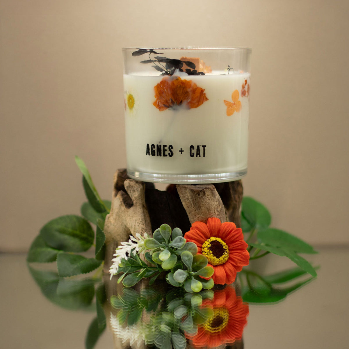 Agnes + Cat Botanical Soy Wax Candle - Lakeland Mocha product image 3