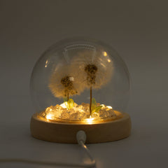 Floral Glow Garden Dome - 2 Dandelions - LED USB product image 5