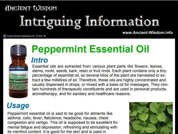 Peppermint Essential Oil Info product image